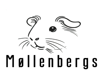 Møllenbergs
